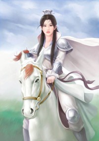 完美奴隶手记